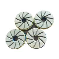 Diamond snail lock grinding and polishing pads